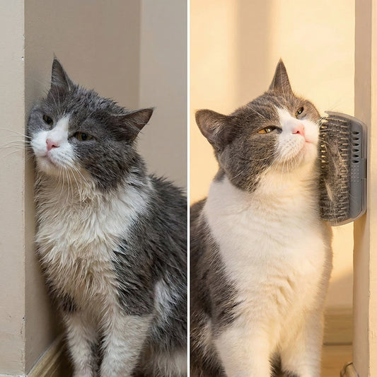 Brosse Murale pour Chat – Toilettage & Massage Automatique | Anti-Stress & Anti-Poils